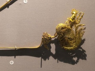 益阳市水利局开展洞庭湖区水生态保护、修复与经济发展调研|完美对战平台官网下载